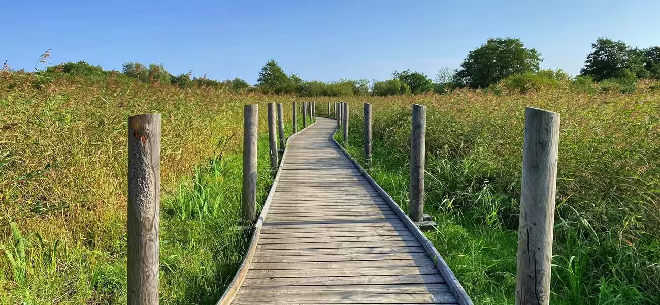 Lammassaari – Die stille Naturinsel mit langen Holzstegen