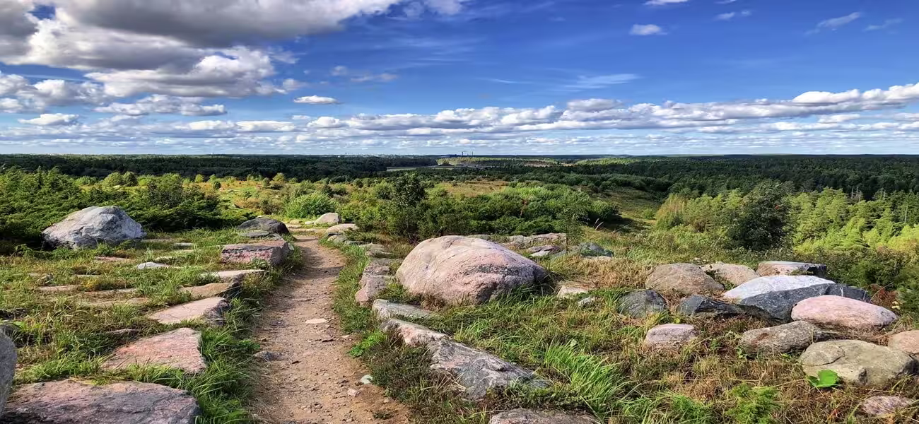 Vuosaarenhuippu Helsinki Aussichtspunkt